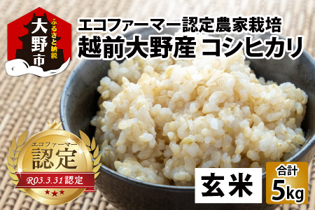 【令和7年産】【有機栽培】越前大野産 エコファーマー認定農家栽培 こしひかり5kg（玄米）[A-001036]