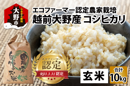 【令和7年産】【有機栽培】越前大野産 エコファーマー認定農家栽培 コシヒカリ10kg（玄米）[A-001037]