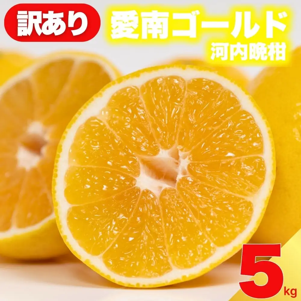 【先行予約:2027年4月下旬～順次発送】訳あり 河内晩柑 5kg 愛南ゴールド 河内晩柑 蜜柑 みかん Mikan 愛南フルーツ 愛媛 愛南