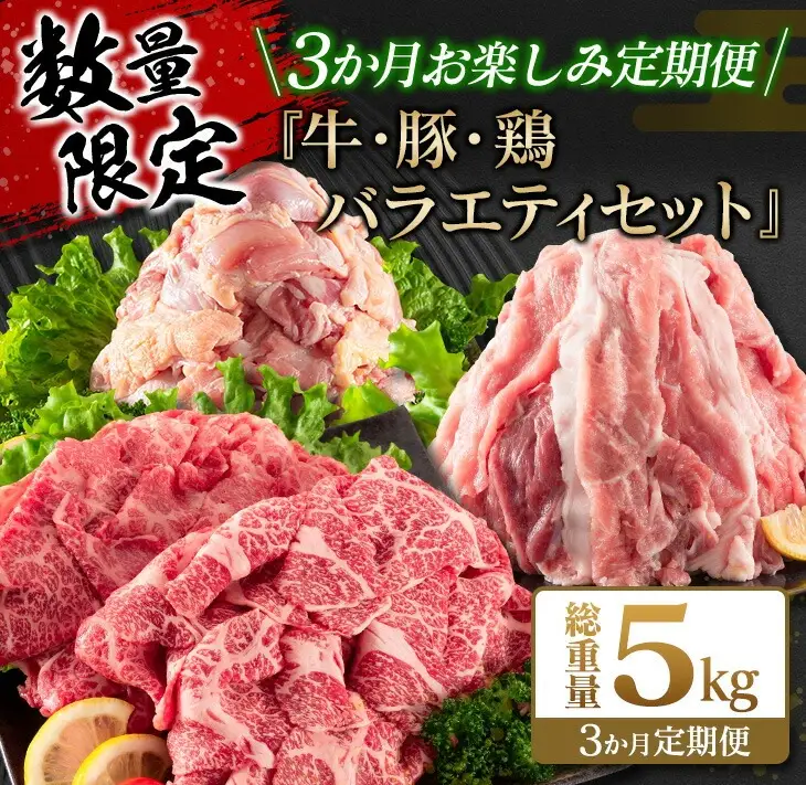 数量限定 3か月 お楽しみ 定期便 牛肉 豚肉 鶏肉 バラエティ セット 総重量5kg_FG13-26