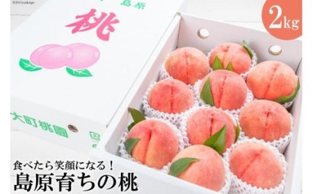 AE049【令和4年度出荷分】食べたら笑顔になる！島原育ちの桃 2Kg　＜数量限定＞