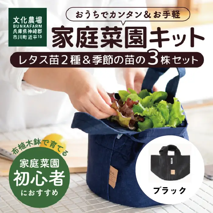 はじめての家庭菜園キット「サラダガーデン」（プランター色：ブラック）011BK01N.／レタス 苗 サラダ野菜 苗 プランター ガーデニング 野菜 栽培 ベランダ菜園 野菜苗 培土 園芸