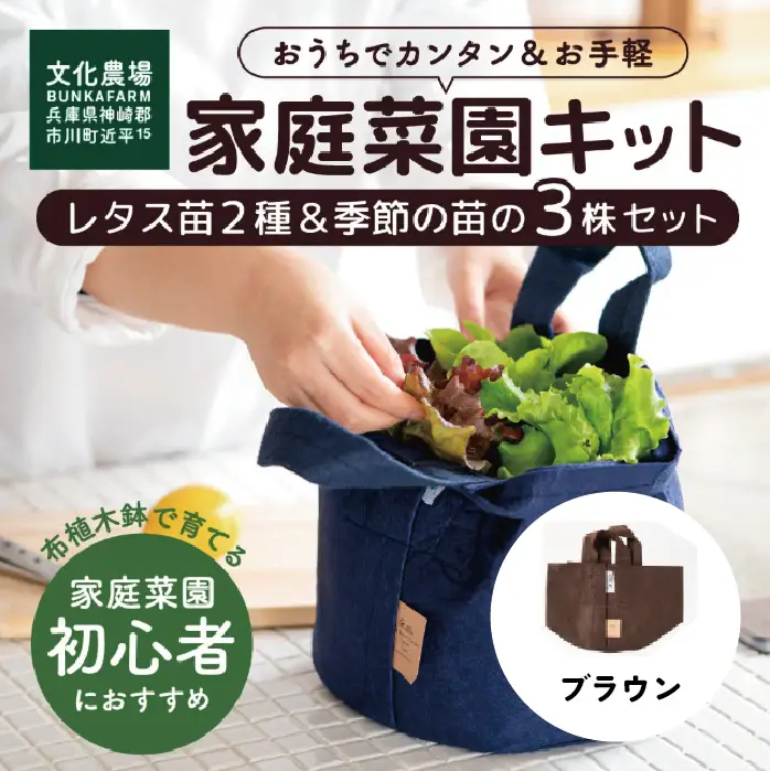はじめての家庭菜園キット「サラダガーデン」（プランター色：ブラウン）011BK02N.／レタス 苗 サラダ野菜 苗 プランター ガーデニング 野菜 栽培 ベランダ菜園 野菜苗 培土 園芸