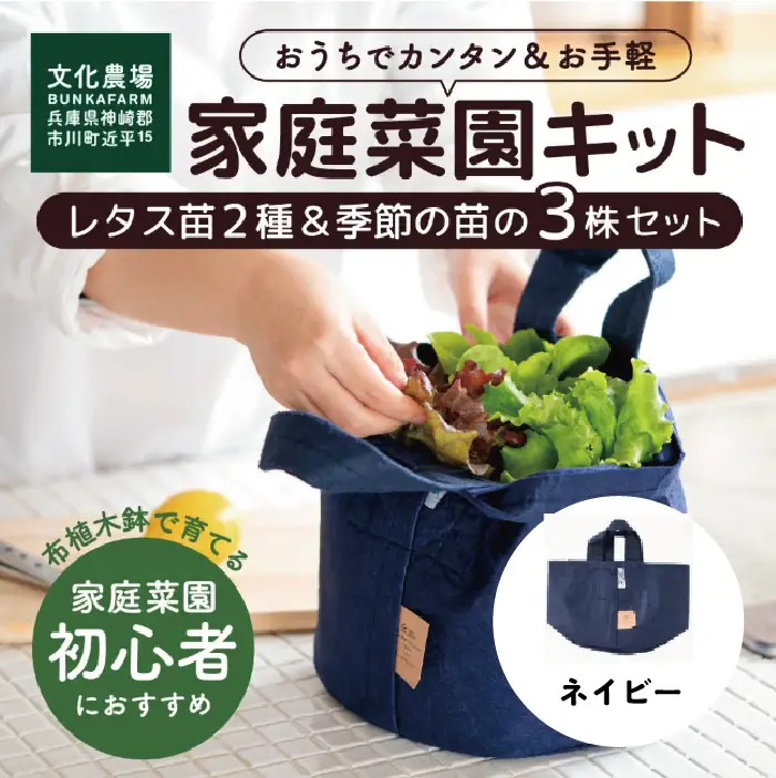 はじめての家庭菜園キット「サラダガーデン」（プランター色：ネイビー）011BK03N.／レタス 苗 サラダ野菜 苗 プランター ガーデニング 野菜 栽培 ベランダ菜園 野菜苗 培土 園芸