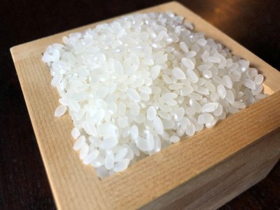 有機コシヒカリ 新米 丹波篠山の山水栽培 5kg 有機コシヒカリ