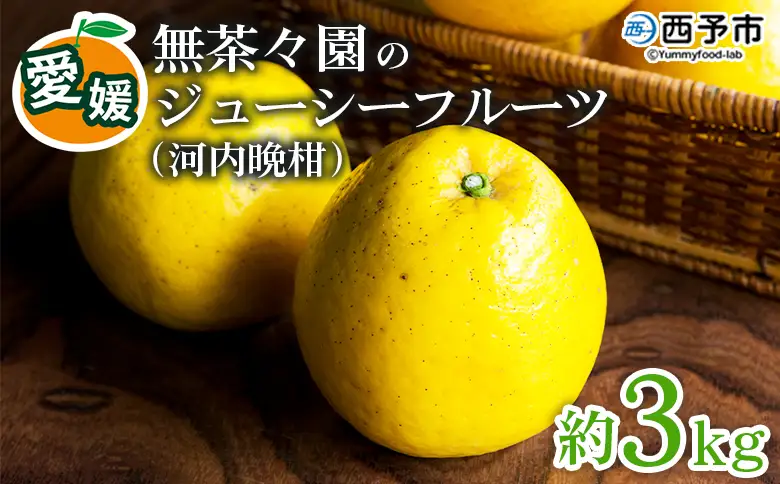 【先行予約】＜無茶々園のジューシーフルーツ（河内晩柑）約3kg＞果物 かわちばんかん みかん ミカン 蜜柑 柑橘 期間限定 季節限定 食べて応援 特産品 愛媛県 西予市 【常温】『2027年4月上旬～6月上旬迄に順次出荷予定』AMC0008