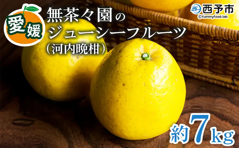 【先行予約】＜無茶々園のジューシーフルーツ（河内晩柑）約7kg＞ フルーツ 果物 かわちばんかん みかん ミカン 蜜柑 柑橘 期間限定 季節限定 食べて応援 特産品 愛媛県 西予市 【常温】『2027年4月上旬～6月上旬迄に順次出荷予定』AMC0022