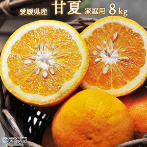 ＜愛媛県西予市産 甘夏 約8kg 家庭用＞ 果物 くだもの ミカン 柑橘 フルーツ あまなつ 産地直送 特産品 段畑みかん 愛媛県 西予市【常温】『2027年3月中旬～4月中旬迄に順次出荷予定』ADM0009