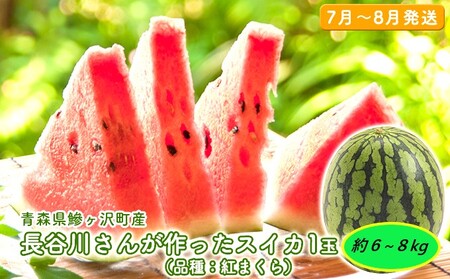 【先行予約2026年産】長谷川さんが作ったスイカ 1玉 6kg以上（品種：紅まくら）7月～8月発送　青森県鰺ヶ沢町産 果物類