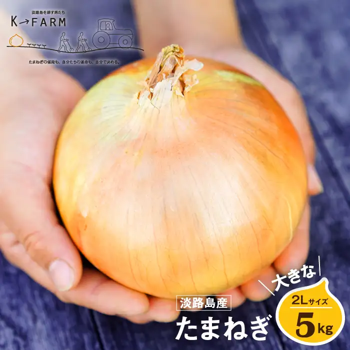 淡路島玉ねぎ 大きな2Lサイズ 5kg　玉ねぎ