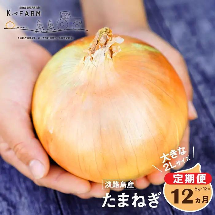 【玉ねぎ定期便12ヶ月】淡路島玉ねぎ 大きな2Lサイズ 5kg