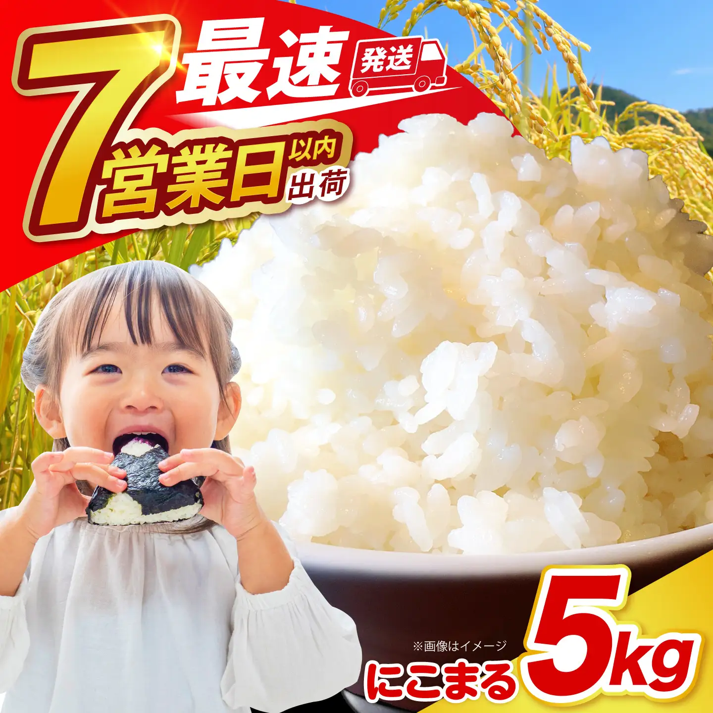長崎県産 精米 にこまる 5kg / 南島原市 / 大松屋商店 [SDR001]