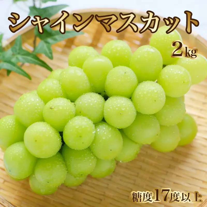 【8月下旬より発送】シャインマスカット2kg(3房)【700g以上】【糖度17度以上】
