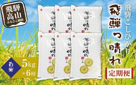 【定期便】こしひかり飛騨っ晴れ 白米 5kg 6回 お届け 生産者直送 お米 コシヒカリ 飛騨産 飛騨高山 アグリランド JF100