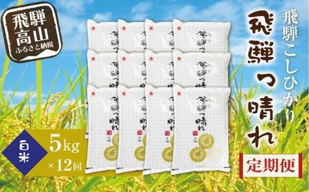 【定期便】こしひかり飛騨っ晴れ 白米 5kg 12回 お届け 生産者直送 お米 コシヒカリ 飛騨産 飛騨高山 アグリランド JF101