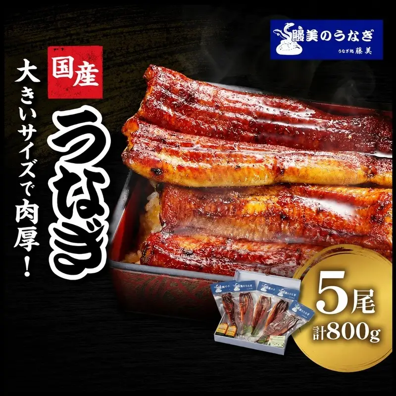 うなぎ 蒲焼 5尾 160g×5 タレ 75ml×2 山椒付 うなぎ