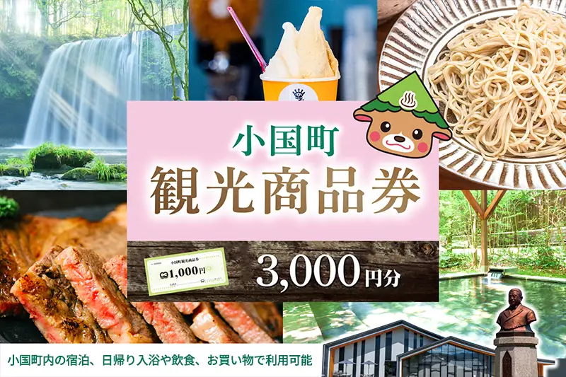【ASOおぐに観光協会】阿蘇 小国町 観光商品券 1000円券 3枚 3千円 三千円 熊本 阿蘇 小国町 杖立温泉 わいた温泉郷 湯けむり 蒸し湯 ジャージー牛乳 小国杉 旅行 観光 宿泊 飲食 お買い物 お土産 現地払い利用 宿泊 地域振興 旅行支援 指定住所へ出荷