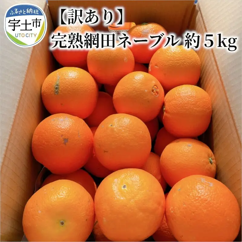 村田果樹園 【訳あり】網田ネーブルオレンジ 約5kg(M～3L) _U101-0015