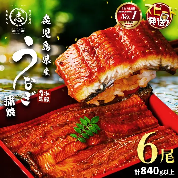 鹿児島県産うなぎ 蒲焼 名水慈鰻 6尾 (計840g以上) c0-147