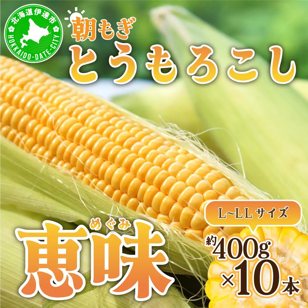 ＜2026年先行予約＞北海道産 朝もぎ とうもろこし 恵味 L-LLサイズ 約400g×10本 スイートコーン ゴールドコーン トウモロコシ とうきび コーン 旬 完熟 野菜 甘い おやつ 産地直送 お取り寄せ 北海道 藤川農園 送料無料 伊達 55250480