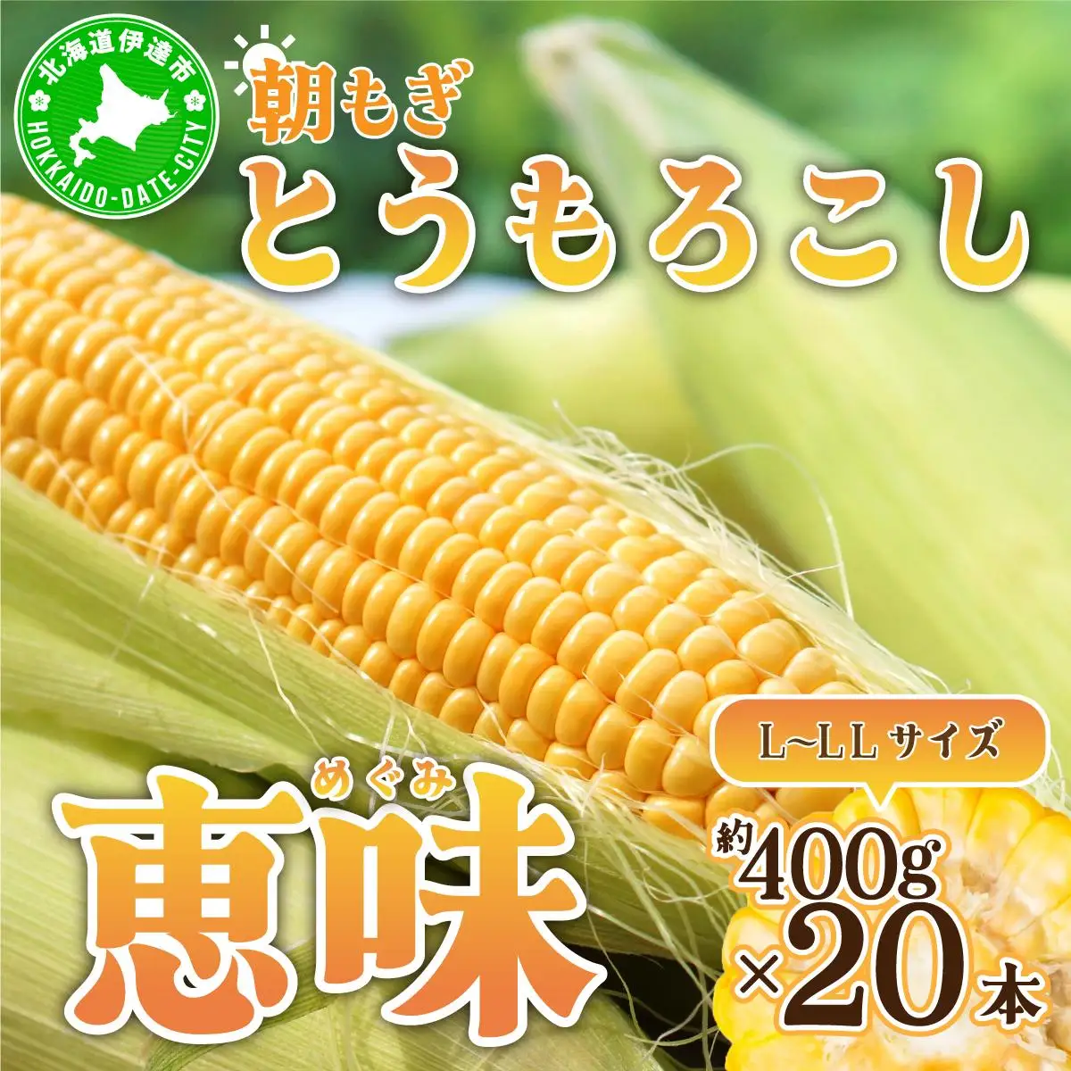 ＜2026年先行予約＞北海道産 朝もぎ とうもろこし 恵味 L-LLサイズ 約400g×20本 スイートコーン ゴールドコーン トウモロコシ とうきび コーン 旬 完熟 野菜 甘い おやつ 産地直送 お取り寄せ 北海道 送料無料 伊達 55250482