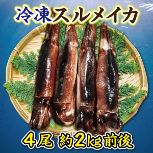 冷凍スルメイカ特大４本（２kg前後）
