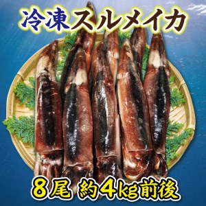 冷凍スルメイカ特大 ８本（約４kg前後）
