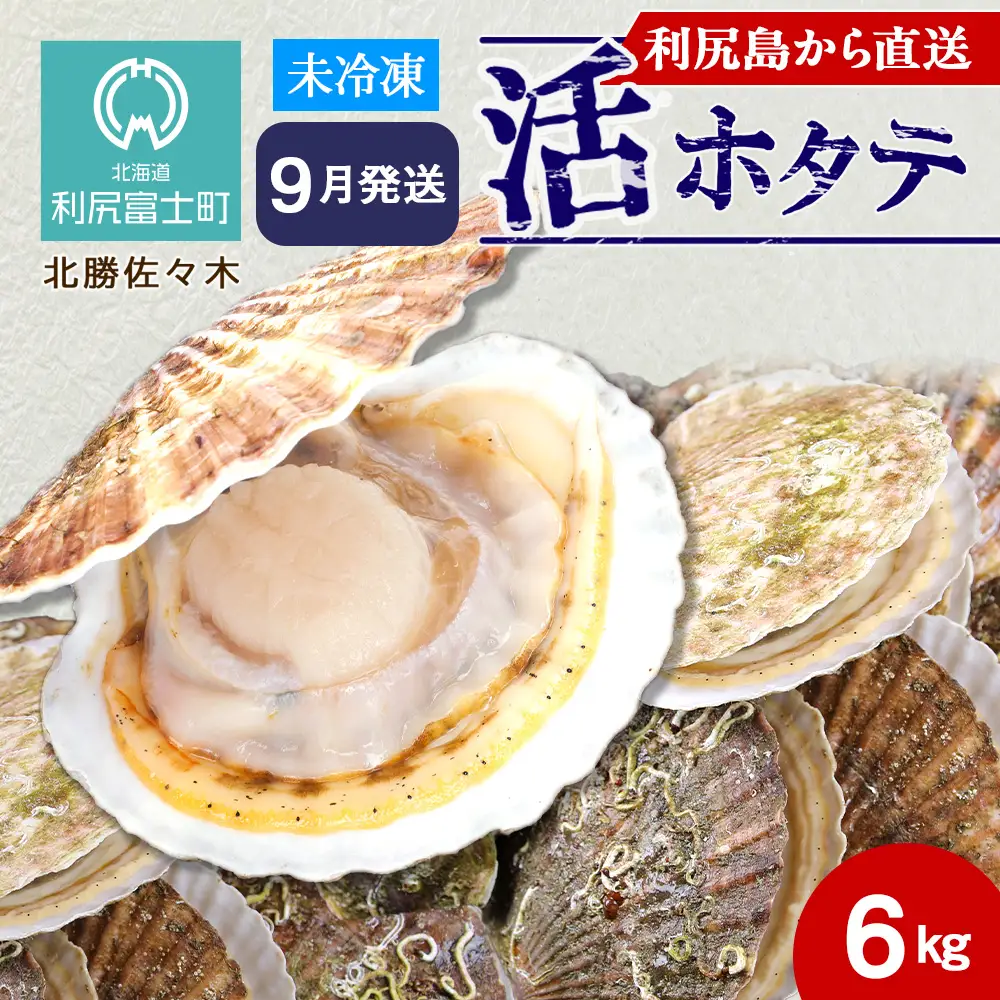 活ホタテ6kg！~2026年9月発送~北海道利尻島から直送！【北勝佐々木】