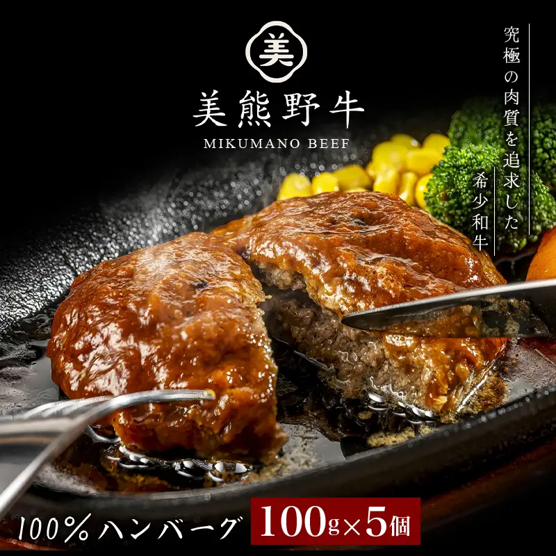 ハンバーグ 美熊野牛 100％ 100g×5個 ハンバーグ【okad0007】