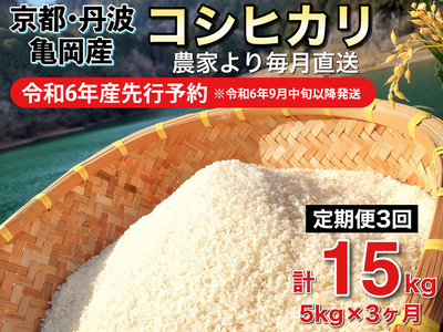 【令和6年産先行予約】米 白米 定期便 5kg×3ヶ月 15kg コシヒカリ 佐伯の里の源流米