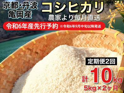 【令和6年産先行予約】米 白米 定期便 5kg×2ヶ月 10kg コシヒカリ 佐伯の里の源流米