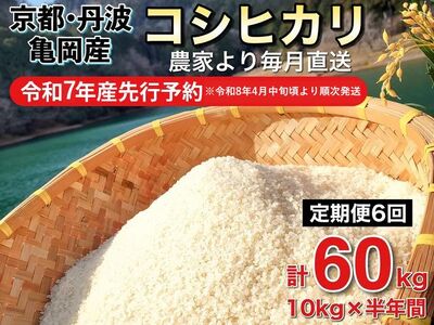 【令和7年産 新米 先行予約】米 白米 定期便 10kg×6ヶ月 60kg コシヒカリ