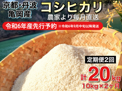 【令和6年産先行予約】米 白米 定期便 10kg×2ヶ月 20kg コシヒカリ 佐伯の里の源流米