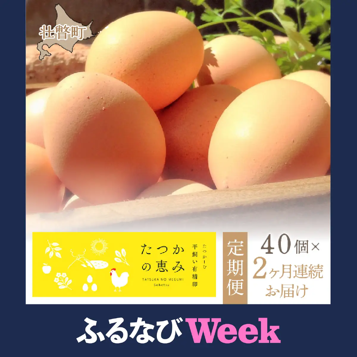【ふるなびWEEK対象】平飼い有精卵『たつかの恵み』40個×2ヶ月連続お届け SBTT001