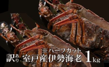室戸産 伊勢海老 1kg【訳あり・ハーフカット】