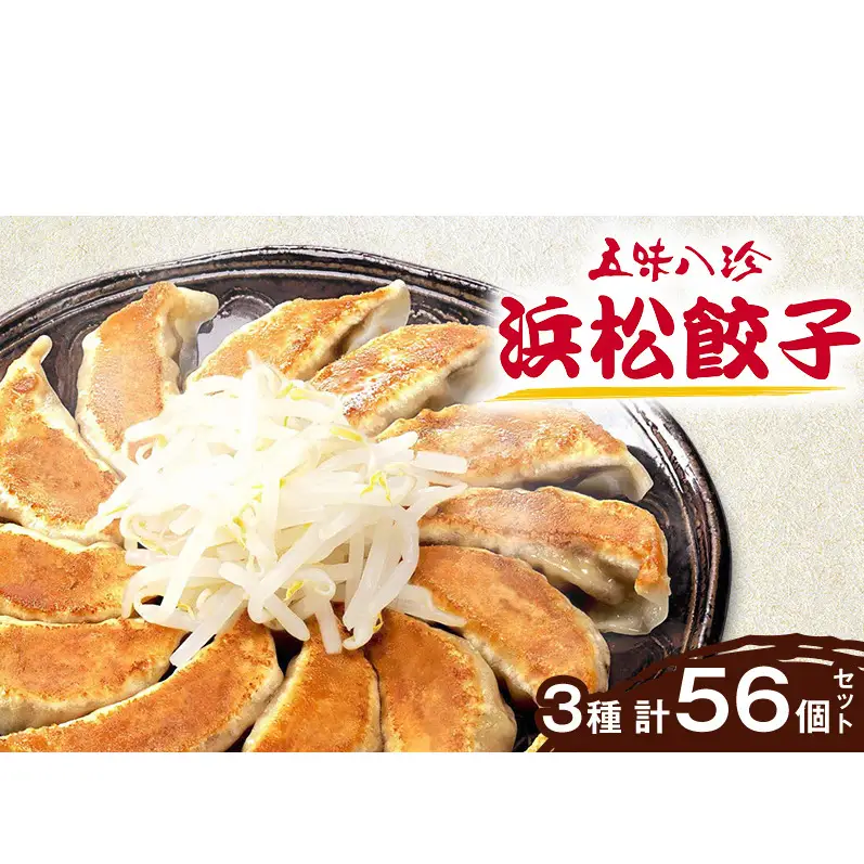 餃子 五味八珍 3種計56個セット 遠鉄百貨店×高島屋 餃子
