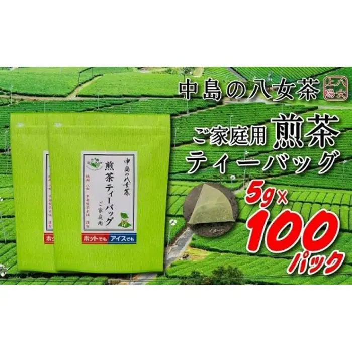 八女上陽の産地直送！ 中島製茶本舗 ご家庭用煎茶ティーバッグ 100パック ( 八女茶 )