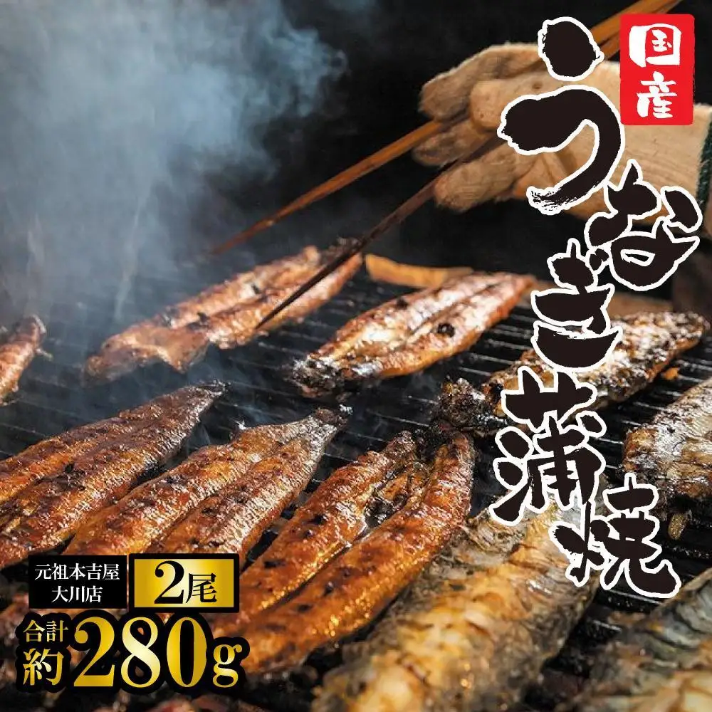 元祖 本吉屋 大川店 老舗のうなぎ蒲焼き 2尾