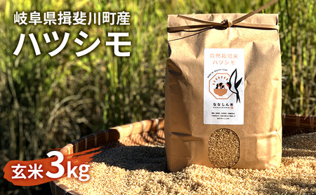ハツシモ 自然米 玄米 ハツシモ【3kg】