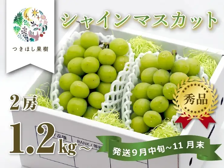 【産地直送】上山産・絶品シャインマスカット　１.２ｋｇ以上♪　0140-2608