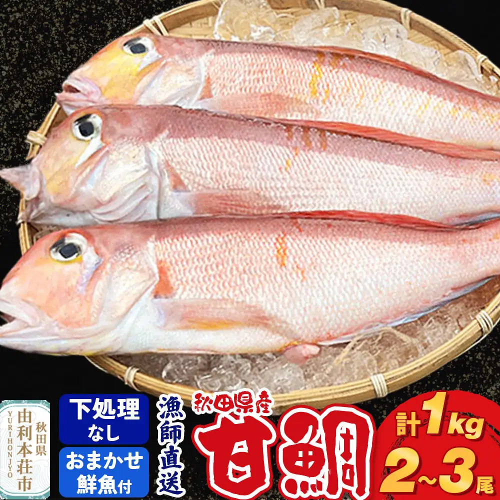 漁師直送 甘鯛（あまだい）1kg＋おまかせ鮮魚 秋田県産【下処理なし】