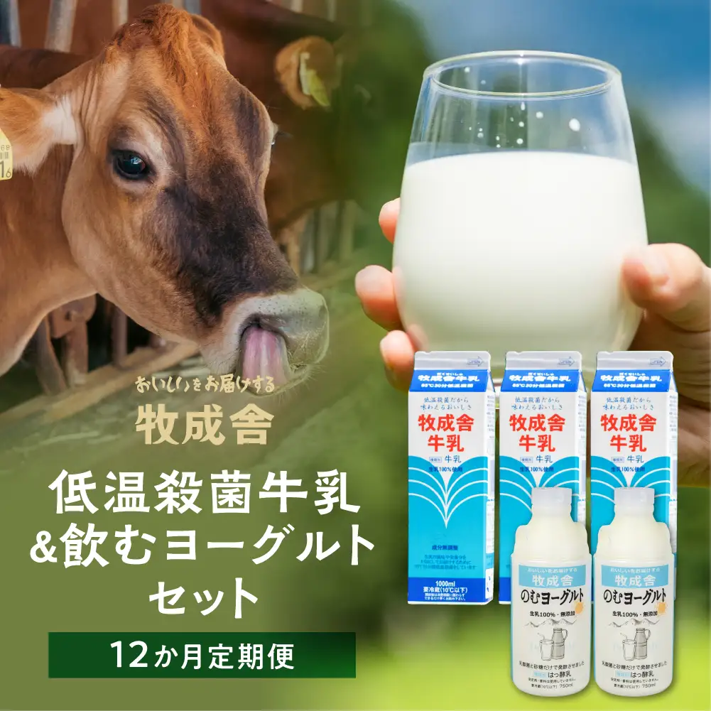 定期便 12回 飛騨産生乳100％無添加（牛乳3本＆飲むヨーグルト2本セット）×12回 低温殺菌牛乳 DF104
