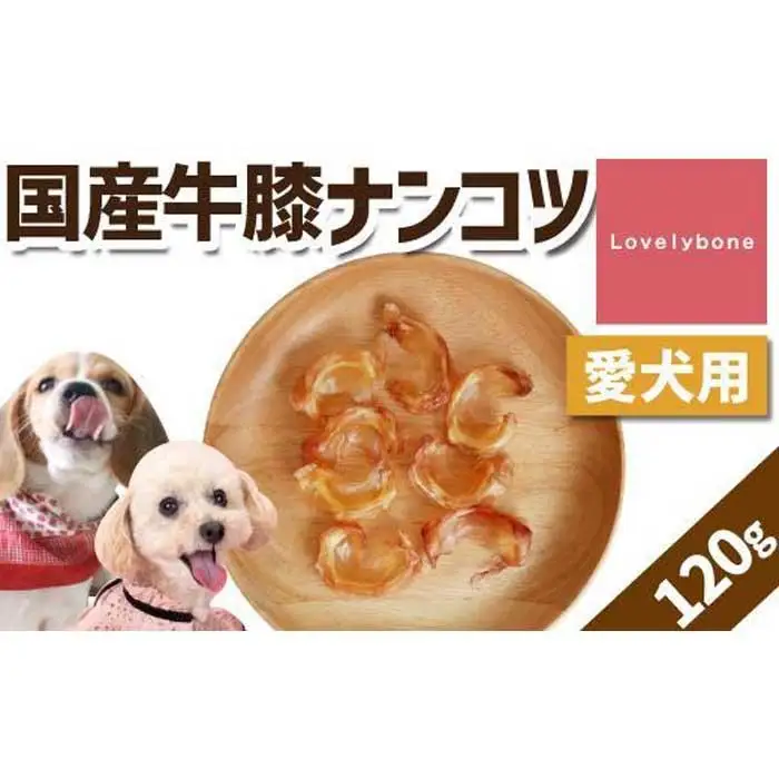 精肉店がこだわった【中小型犬向けおやつ】国産牛膝ナンコツ　60g×2　無添加 手作り