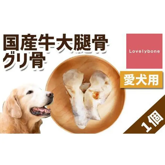 【大型犬向け】国産牛大腿骨グリ骨 Lovelybone