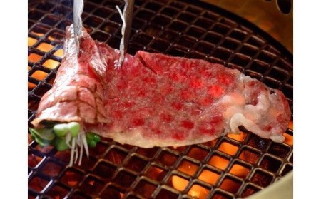 熊本県産 GI認証取得 くまもとあか牛 肩バラスライス 合計600g