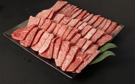 【大好評により完売いたしました】【高級】熊本県産 黒毛和牛 A5ランク 高級部位 焼肉アソートセット 計1.5kg