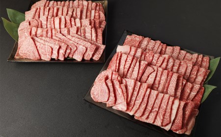 【大好評により完売いたしました】【高級】熊本県産 黒毛和牛 A5ランク 高級部位 焼肉アソートセット 計2kg