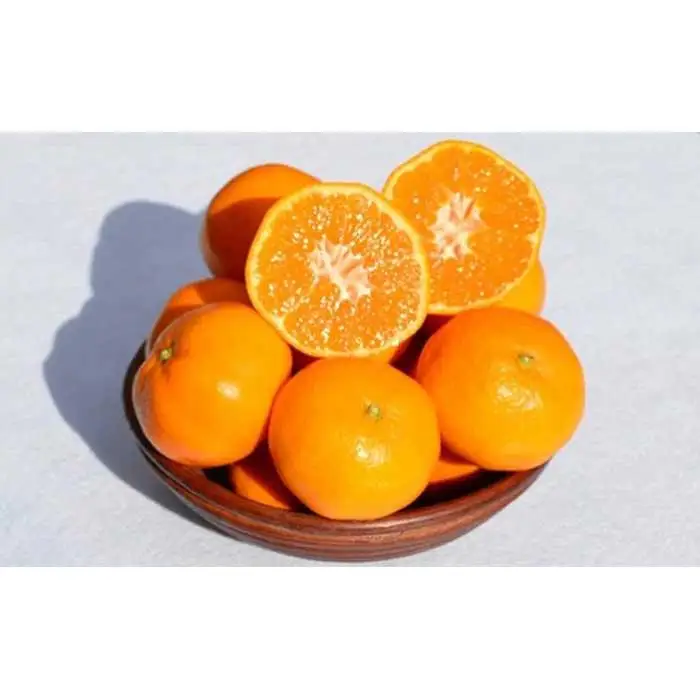 ［先行予約］和歌山県産 みかん 秀品 箱込約5kg（約4.1kg＋保証分500g）