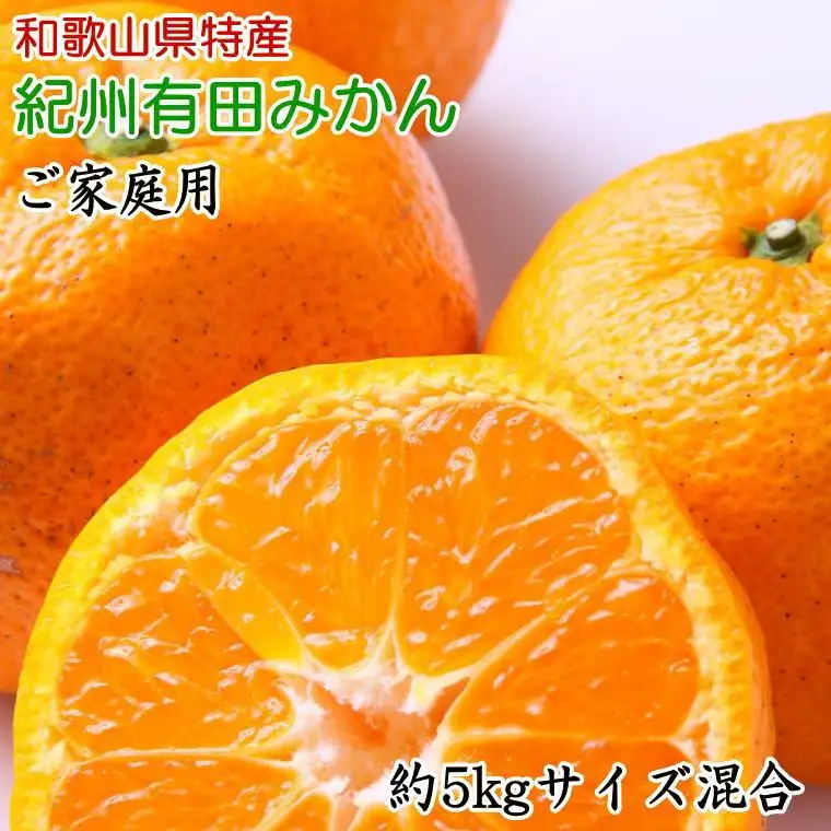 和歌山有田みかん約5kg ご家庭用（サイズ混合）★2026年11月中旬頃より順次発送【TM102】