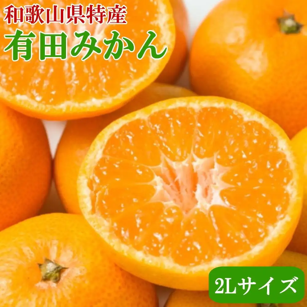 [秀品]和歌山有田みかん約6kg(2Lサイズ)★2026年11月中旬頃より順次発送［TM84］